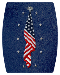 DAREC 421 SH BL Flag at Rest Shimmer Blue